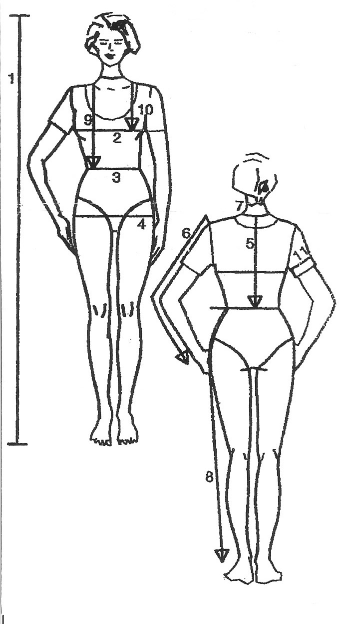 msmt_diagram